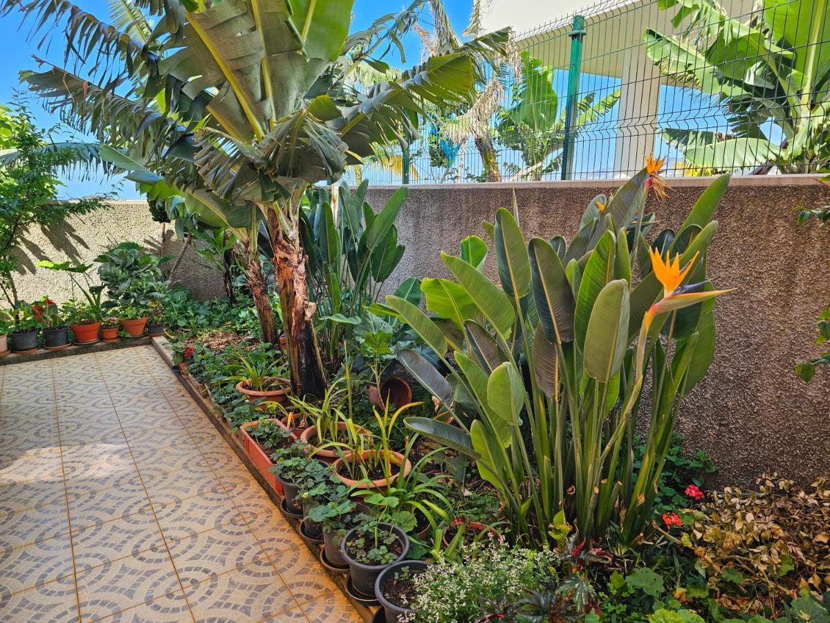 Holiday home Casa De Feria Do Livramento